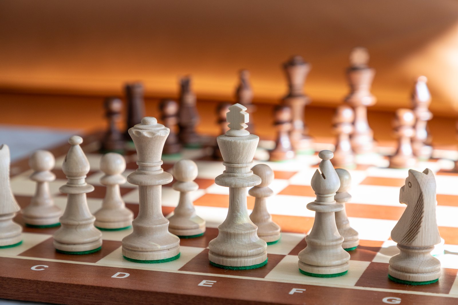 Easy Level Chess